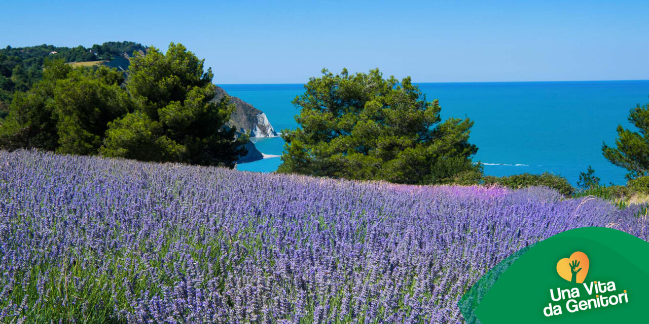 Yacht & Garden 2025: dal 16 al 18 maggio 2025 – Fiori, Mare e Natura a Marina Genova in Liguria