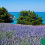 Yacht & Garden 2025: dal 16 al 18 maggio 2025 – Fiori, Mare e Natura a Marina Genova in Liguria