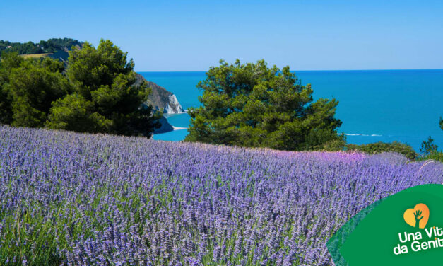 Yacht & Garden 2025: dal 16 al 18 maggio 2025 – Fiori, Mare e Natura a Marina Genova in Liguria