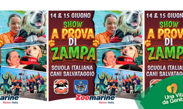 Lazio – Roma –  14 e 15 giugno 2025 – A Zoomarine un week end in sicurezza anche con l’Arma dei Carabinieri